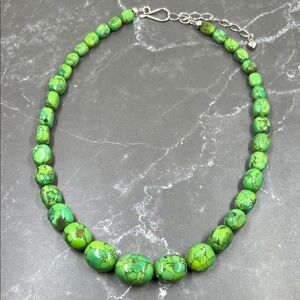 Jay King DTR Mojave Green Turquoise 925 Necklace